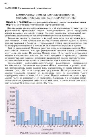 Термины и понятия: сцепленное наследование; группа сцепления; закон
Моргана; морганида; генетическая карта хромосомы.
Хромосомная теория наследственности и её положения. Считается, что
формирование хромосомной теории наследственности стало следующим
этапом развития клеточной теории. Главные положения хромосомной тео­
рии сейчас рассматривают как постулаты современной клеточной теории.
Вспомните мушиную комнату, о которой шла речь при изучении исто­
рии генетики. В ней проводились опыты, ставшие основой одного из самых
важных открытий в биологии — хромосомной теории наследственности. Оно
было сформулировано ещё в начале XX ст. и остаётся актуальным поныне.
Ещё до исследований Моргана, сразу же после переоткрытия законов Мен­
деля учёные заметили, что при формировании половых клеток хромосомы
ведут себя, как гены. Но именно Морган через 10 лет после переоткрытия
законов наследования доказал, что гены находятся в хромосомах. Именно
он сформулировал главное положение хромосомной теории наследственнос­
ти: гены находятся в хромосомах и расположены там в линейном порядке.
Современные молекулярно-генетические исследования подтвердили
эти положения. Реализация программы «Геном человека», в рамках кото­
рой исследовалось, какие именно гены расположены в каких именно хро­
мосомах (рис. 39), дала следующие результаты. Было установлено, что
каждая хромосома содержит от нескольких сотен до нескольких тысяч
структурных генов — всего 32 135 генов. Причём количество генов в хро­
мосоме часто не совпадает с её размерами. Например, 5-я огромная субме-
тацентрическая хромосома несёт только 609 генов, а самая маленькая акро-
центрическая 22-я хромосома имеет 1092 гена.
ХРОМОСОМНАЯ ТЕОРИЯ НАСЛЕДСТВЕННОСТИ.
СЦЕПЛЕННОЕ НАСЛЕДОВАНИЕ. КРОССИНГОВЕР
60
РАЗДЕЛ III. Организменный уровень жизни
 
