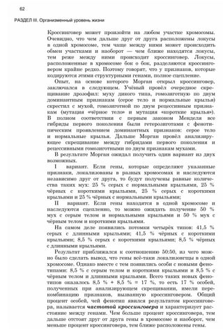 Кроссинговер может произойти на любом участке хромосомы.
Очевидно, что чем дальше друг от друга расположены локусы
в одной хромосоме, тем чаще между ними может происходить
обмен участками и наоборот — чем ближе находятся локусы,
тем реже между ними происходит кроссинговер. Локусы,
расположенные в хромосоме бок о бок, разделяются кроссинго-
вером крайне редко. Поэтому говорят, что у признаков, которые
кодируются этими структурными генами, полное сцепление.
Опыт, на основе которого Морган открыл кроссинговер,
заключался в следующем. Учёный провёл очередное скре­
щивание дрозофил: муху дикого типа, гомозиготную по двум
доминантным признакам (серое тело и нормальные крылья)
скрестил с мухой, гомозиготной по двум рецессивным призна­
кам (мутация «чёрное тело» и мутация «короткие крылья»).
В полном соответствии с первым законом Менделя все
гибриды первого поколения были гетерозиготами с феноти­
пическим проявлением доминантных признаков: серое тело
и нормальные крылья. Дальше Морган провёл анализиру­
ющее скрещивание между гибридами первого поколения и
рецессивными гомозиготными по двум признакам мухами.
В результате Морган ожидал получить один вариант из двух
возможных.
I вариант. Если гены, которые определяют указанные
признаки, локализованы в разных хромосомах и наследуются
независимо друг от друга, то будут получены равные количе­
ства таких мух: 25 % серых с нормальными крыльями, 25 %
чёрных с короткими крыльями, 25 % серых с короткими
крыльями и 25 % чёрных с нормальными крыльями;
II вариант. Если гены находятся в одной хромосоме и
наследуются сцепленно, то можно ожидать получение 50 %
мух с серым телом и нормальными крыльями и 50 % мух с
чёрным телом и короткими крыльями.
На самом деле появились потомки четырёх типов: 41,5 %
серых с длинными крыльями; 41,5 % чёрных с короткими
крыльями; 8,5 % серых с короткими крыльями; 8,5 % чёрных
с длинными крыльями.
Результат приближался к соотношению 50:50, из чего мож­
но было сделать вывод, что гены всё-таки локализовгщы в одной
хромосоме. Однако вместе с тем появились особи с новыми фено­
типами: 8,5 % с серым телом и короткими крыльями и 8,5 % с
чёрным телом и длинными крыльями. Всего таких новых фено­
типов оказалось 8,5 % + 8,5 % = 17 %, то есть 17 % особей,
полученных при анализирующем скрещивании, имели пере-
комбинацию признаков, вызванную кроссинговером. Общий
процент особей, чей фенотип явился результатом кроссингове-
ра, называется частотой кроссинговера и характеризует рас­
стояние между генами. Чем больше процент кроссинговера, тем
дальше отстоят друг от друга гены в хромосоме и наоборот, чем
меньше процент кроссинговера, тем ближе расположены гены.
62
РАЗДЕЛ III. Организменный уровень жизни
 