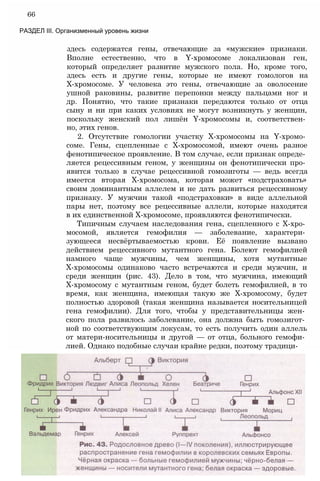 здесь содержатся гены, отвечающие за «мужские» признаки.
Вполне естественно, что в Y-хромосоме локализован ген,
который определяет развитие мужского пола. Но, кроме того,
здесь есть и другие гены, которые не имеют гомологов на
Х-хромосоме. У человека это гены, отвечающие за оволосение
ушной раковины, развитие перепонки между пальцами ног и
др. Понятно, что такие признаки передаются только от отца
сыну и ни при каких условиях не могут возникнуть у женщин,
поскольку женский пол лишён Y-хромосомы и, соответствен­
но, этих генов.
2. Отсутствие гомологии участку Х-хромосомы на Y-хромо­
соме. Гены, сцепленные с Х-хромосомой, имеют очень разное
фенотипическое проявление. В том случае, если признак опреде­
ляется рецессивным геном, у женщины он фенотипически про­
явится только в случае рецессивной гомозиготы — ведь всегда
имеется вторая Х-хромосома, которая может «подстраховать»
своим доминантным аллелем и не дать развиться рецессивному
признаку. У мужчин такой «подстраховки» в виде аллельной
пары нет, поэтому все рецессивные аллели, которые находятся
в их единственной Х-хромосоме, проявляются фенотипически.
Типичным случаем наследования гена, сцепленного с Х-хро­
мосомой, является гемофилия — заболевание, характери­
зующееся несвёртываемостью крови. Её появление вызвано
действием рецессивного мутантного гена. Болеют гемофилией
намного чаще мужчины, чем женщины, хотя мутантные
Х-хромосомы одинаково часто встречаются и среди мужчин, и
среди женщин (рис. 43). Дело в том, что мужчина, имеющий
Х-хромосому с мутантным геном, будет болеть гемофилией, в то
время, как женщина, имеющая такую же Х-хромосому, будет
полностью здоровой (такая женщина называется носительницей
гена гемофилии). Для того, чтобы у представительницы жен­
ского пола развилось заболевание, она должна быть гомозигот­
ной по соответствующим локусам, то есть получить один аллель
от матери-носительницы и другой — от отца, больного гемофи­
лией. Однако подобные случаи крайне редки, поэтому традици-
66
РАЗДЕЛ III. Организменный уровень жизни
 