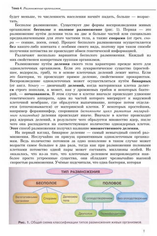 будет меньше, то численность населения начнёт падать, больше — возрас­
тать.
Бесполое размножение. Существует две формы воспроизведения живых
организмов: бесполое и половое размножение (рис. 1). Первая — это
размножение путём деления тела на две и больше частей или специально
предназначенными для этого частями тела, а также спорами (от греч. спо-
ра — сеяние, посев, семя). Процесс бесполого размножения осуществляется
без какого-либо контакта с особями своего вида, поэтому при таком способе
получения потомства не происходит обмен генетической информацией.
Различают несколько вариантов бесполого размножения. Каждый из
них свойственен конкретным группам организмов.
Размножение путём деления своего тела характерно прежде всего для
одноклеточных организмов. Если это эукариотическое существо (простей­
шее, водоросль, гриб), то в основе клеточных делений лежит митоз. Если
это бактерия, то происходит прямое деление, свойственное прокариотам.
Воспроизведение одноклеточных может осуществляться путём бинарных
(от англ. binary — двоичный) делений, когда материнская клетка делит­
ся строго пополам, а может, как у дрожжевых грибов и некоторых бакте­
рий, — почкованием. В этом случае в клетке вначале происходит удвоение
генетического аппарата, одна из частей которого мигрирует к наружной
клеточной мембране, где образуется выпячивание, которое потом отделя­
ется (отпочковывается) от материнской клетки. У некоторых простейших,
например фораминифер, споровиков (вспомните цикл развития малярий­
ного плазмодия) деления происходят иначе. Вначале в клетке происходит
ряд ядерных делений, в результате чего образуется множество ядер, после
чего она распадается на соответствующее количество одноядерных клеток.
Этот способ размножения получил название множественного деления.
На первый взгляд, бинарное деление — самый невыгодный способ раз­
множения. Неслучайно он присущ примитивным одноклеточным организ­
мам. Ведь количество потомков за одно поколение в таком случае может
возрасти самое большее в два раза, тогда как при размножении половыми
клетками потомство одной пары может составить миллионы особей. Но
оказалось, что из-за того, что клеточным делением воспроизводятся наи­
более просто устроенные существа, они обладают чрезвычайно высокой
скоростью размножения. Учёные подсчитали, что одна бактерия, которая
Тема 4. Размножение организмов_______________________________________________________
7
 