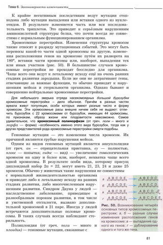 Тема 6. Закономерности изменчивости____________________________________ ,_______________
К крайне негативным последствиям ведут мутации стоп-
кодона либо мутации выпадения или вставки одного из нукле­
отидов. В результате изменяется часть или вся последова­
тельность триплетов. Это приводит к серьёзным нарушениям
аминокислотной структуры белка, что почти всегда не совме­
стимо с нормальным функционированием организма.
Хромосомные перестройки. Изменения структуры хромосом
также относят к разряду мутационных событий. Это могут быть
переносы какой-то части одной хромосомы на другую, измене­
ния расположения генов на хромосоме путём их разворота на
180°, вставки части хромосомы или, наоборот, выпадения тех
или иных участков (рис. 50). В большинстве случаев хромо­
сомные перестройки не проходят бесследно для организма.
Чаще всего они ведут к летальному исходу ещё на очень ранних
стадиях развития зародыша. Если же они не затрагивают гены,
отвечающие за важные функции, то обычно приводят к нару­
шениям мейоза и стерильности организма. Однако бывают и
совершенно нейтральные хромосомные перестройки.
Для небольшого зверька отряда насекомоядных большой бурозубки
хромосомные перестройки — дело обычное. Причём в разных частях
ареала живут популяции, особи которых имеют разные число и форму
хромосом. Эти хромосомные расы внешне ничем себя не выдают: отли­
чить бурозубок с 22 хромосомами от бурозубок, имеющих 44 хромосомы,
по признакам, образу жизни или плодовитости невозможно. Самое
удивительное, что хромосомный полиморфизм (от греч. поли — много и
морфа — форма) —особенность именно этого вида бурозубок, тогда как у
других представителей рода хромосомные перестройки смерти подобны.
Геномные мутации — это изменения числа хромосом. Их
причиной являются грубые нарушения мейоза.
Одним из видов геномных мутаций является анеуплолидия
(от греч. ан — отрицательная приставка, еу — полностью,
плоос — попытка; еидос — вид) — увеличение гомологических
хромосом на одну и более или, наоборот, нехватка чаще всего
одной хромосомы. В результате особи вида, которому присущ
диплоидный набор 2п = 22, могут иметь 21, 23, 24 и даже 25
хромосом. Обычно у животных такие нарушения не совместимы
с нормальной жизнедеятельностью организма
и приводят либо к летальному исходу на ранних
стадиях развития, либо многочисленным нару­
шениям развития. Синдром Дауна у людей —
наследственное заболевание, приводящее к
разнообразным порокам развития, в том числе
и умственной отсталости, вызвано дополни­
тельной хромосомой в 21 паре. Иногда у людей
встречаются дополнительные половые хромо­
сомы. В таких случаях всегда наблюдают сте­
рильность.
Полиплоидия (от греч. поли — много и
плоидия) — геномные мутации, связанные с
81
 