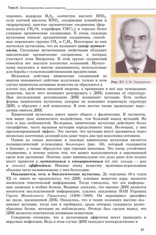 Тема 6. Закономерности изменчивости____________________________________________________
перекись водорода Н202, азотистую кислоту HN02,
соли азотной кислоты HNOs, соединения плюмбума и
гидраргиума); простые органические соединения (фор­
мальдегид СН2=0, хлороформ СНС13) и гораздо более
сложные органические соединения. К очень сильным
мутагенам относят органические соединения, способ­
ные переносить группы СН3 и С2Н5. Некоторые из них
настолько мутагенны, что их называют супер мутаге­
нами. Сильными мутагенными свойствами обладают
циклические органические соединения, в которых
участвует атом Нитрогена. К этой группе соединений
относятся все аналоги азотистых оснований. Мутаге­
нами оказались и многие ядохимикаты, используемые
для борьбы с сельскохозяйственными вредителями.
Механизм действия химических соединений во
многом напоминает действие излучения, только в этом
случае химически активные вещества не образуются в
клетке под действием внешней энергии, а проникают в неё как чужеродные
вещества, после чего начинают реагировать с ДНК, изменяя её структуру.
При последующих репликациях ДНК возникают мутации. Есть особые
формы химических мутагенов, которые не изменяют первичную структуру
ДНК, а образуют с ней комплексы. В этих местах также происходят нару­
шения синтеза ДНК.
Химический мутагенез имеет много общего с физическим. В частности,
чем выше доза химического воздействия, тем больший выход мутаций. Но
есть и ряд особенностей. Во-первых, химические мутагены действуют более
специфично, часто вызывая мутации определённого типа. Во-вторых, у них
пролонгированный эффект. Это значит, что мутации могут проявиться через
несколько клеточных делений или даже через два-три поколения потомков.
Одним из самых массовых и опасных химических мутагенов является
полициклический углеводород бензопирен (рис. 56), который содержится
в бензине, а также образуется при горении никотина. Это очень устойчивое
соединение, а потому опасно тем, что может накапливаться в окружающей
среде или организме. Поэтому даже минимальные его дозы рано или поздно
могут привести к мутагенным и канцерогенным (от лат. канцер — рак
и генезис) эффектам. Именно этому веществу мужчины-курильщики
обязаны часто возникающему у них бесплодию.
Оказывается, есть и биологические мутагены. До середины 40-х годов
XX ст. никто не предполагал, что ДНК, основное вещество ядра, является
носителем генетической информации. Тогда считалось, что эта информа­
ция записана в особых белках. Впервые доказать, что именно ДНК является
носителем наследственной информации, удалось академику НАН Украины
Сергею Михайловичу Гершензону (1906—1998). Он выращивал дрозофил
на среде, насыщенной ДНК. Оказалось, что в таких колониях массово воз­
никают мутации, тогда как в пробирках, среда которых содержала разно­
образные белки, мутации не наблюдались. Отсюда был сделан вывод, что
ДНК является генетически активным веществом.
Совершено очевидно, что к мутагенным эффектам могут приводить и
вирусные инфекции. Ведь в этом случае ДНК попадает непосредственно в
87
 