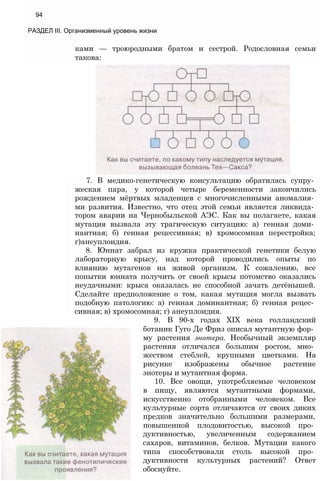 7. В медико-генетическую консультацию обратилась супру­
жеская пара, у которой четыре беременности закончились
рождением мёртвых младенцев с многочисленными аномалия­
ми развития. Известно, что отец этой семьи является ликвида­
тором аварии на Чернобыльской АЭС. Как вы полагаете, какая
мутация вызвала эту трагическую ситуацию: а) генная доми­
нантная; б) генная рецессивная; в) хромосомная перестройка;
г)анеуплоидия.
8. Юннат забрал из кружка практической генетики белую
лабораторную крысу, над которой проводились опыты по
влиянию мутагенов на живой организм. К сожалению, все
попытки юнната получить от своей крысы потомство оказались
неудачными: крыса оказалась не способной зачать детёнышей.
Сделайте предположение о том, какая мутация могла вызвать
подобную патологию: а) генная доминантная; б) генная рецес­
сивная; в) хромосомная; г) анеуплоидия.
9. В 90-х годах XIX века голландский
ботаник Гуго Де Фриз описал мутантную фор­
му растения энотера. Необычный экземпляр
растения отличался большим ростом, мно­
жеством стеблей, крупными цветками. На
рисунке изображены обычное растение
энотеры и мутантная форма.
10. Все овощи, употребляемые человеком
в пищу, являются мутантными формами,
искусственно отобранными человеком. Все
культурные сорта отличаются от своих диких
предков значительно большими размерами,
повышенной плодовитостью, высокой про­
дуктивностью, увеличенным содержанием
сахаров, витаминов, белков. Мутации какого
типа способствовали столь высокой про­
дуктивности культурных растений? Ответ
обоснуйте.
ками — троюродными братом и сестрой. Родословная семьи
такова:
94
РАЗДЕЛ III. Организменный уровень жизни
 