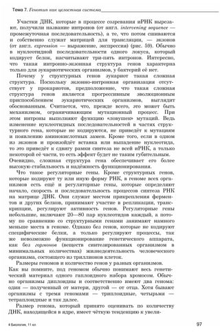 Участки ДНК, которые в процессе созревания иРНК выреза­
ют, получили название интронов (от англ. intervening sequence —
промежуточная последовательность), а те, что потом сшиваются
и собственно служат матрицей для трансляции, — экзонов
(от англ. expression — выражение, экспрессия) (рис. 59). Обычно
в нуклеотидной последовательности одного локуса, который
кодирует белок, насчитывают три-пять интронов. Интересно,
что такая интронно-экзонная структура генов характерна
только для эукариотических организмов, у бактерий её нет.
Почему у структурных генов эукариот такая сложная
структура. Поскольку экзонно-интронная организация отсут­
ствует у прокариотов, предположение, что такая сложная
структура генов является прогрессивным эволюционным
приспособлением эукариотических организмов, выглядит
обоснованным. Считается, что, прежде всего, это может быть
механизмом, ограничивающим мутационный процесс. При
этом интроны выполняют функцию «ловушек» мутаций. Ведь
изменение нуклеотидных последовательностей в частях струк­
турного гена, которые не кодируются, не приведёт к мутациям
и появлению аминокислотных замен. Кроме того, если в одном
из экзонов и произойдёт вставка или выпадение нуклеотида,
то это приведёт к сдвигу рамки синтеза не всей иРНК, а только
некоторой её части, то есть эффект будет не таким губительным.
Очевидно, сложная структура гена обеспечивает его более
высокую стабильность и надёжность функционирования.
Что такое регуляторные гены. Кроме структурных генов,
которые кодируют ту или иную форму РНК, в геноме всех орга­
низмов есть ещё и регуляторные гены, которые определяют
начало, скорость и последовательность процессов синтеза РНК
на матрице ДНК. Они служат местом прикрепления фермен­
тов и других белков, принимают участие в репликации, транс­
крипции, регулируют активность генов. Регуляторные гены
небольшие, включают 20—80 пар нуклеотидов каждый, а пото­
му по сравнению со структурными генами занимают намного
меньше места в геноме. Однако без генов, которые не кодируют
специфические белки, а только регулируют процессы, так
же невозможно функционирование генетического аппарата,
как без гормонов (веществ синтезированных организмом в
минимальных количествах) жизнедеятельность человеческого
организма, состоящего из триллионов клеток.
Размеры геномов и количество генов у разных организмов.
Как вы помните, под геномом обычно понимают весь генети­
ческий материал одного гаплоидного набора хромосом. Обыч­
но организмы диплоидны и соответственно имеют два генома:
один — полученный от матери, другой — от отца. Хотя бывают
организмы с тремя геномами — триплоидные, четырьмя —
тетраплоидные и так далее.
Размер генома, который принято оценивать по количеству
ДНК, находящейся в ядре, имеет чёткую тенденцию к увели-
4 Биология, 11 кл 97
Тема 7. Генотип как целостная система_________________________________________________
 