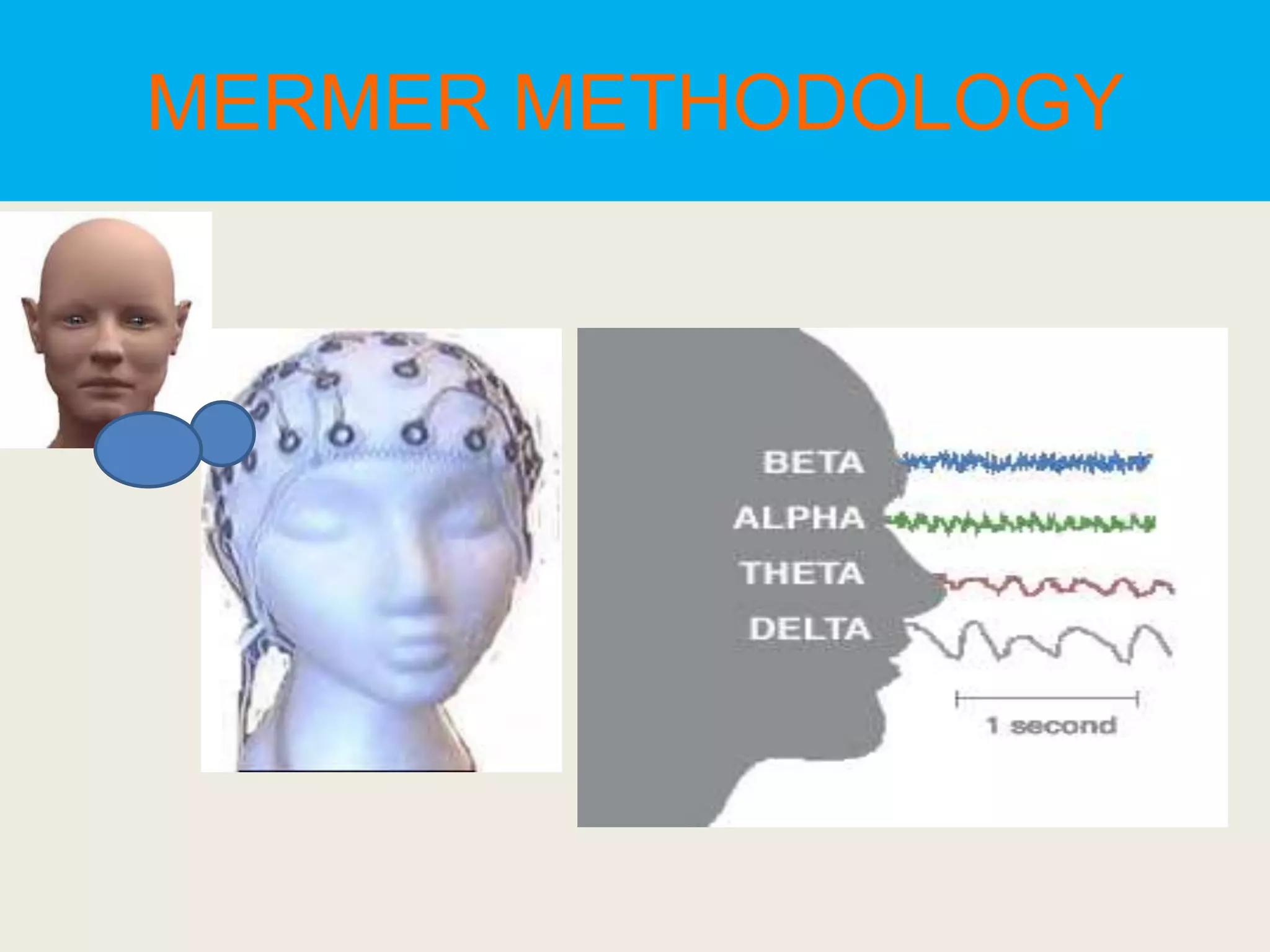 MERMER METHODOLOGY
 