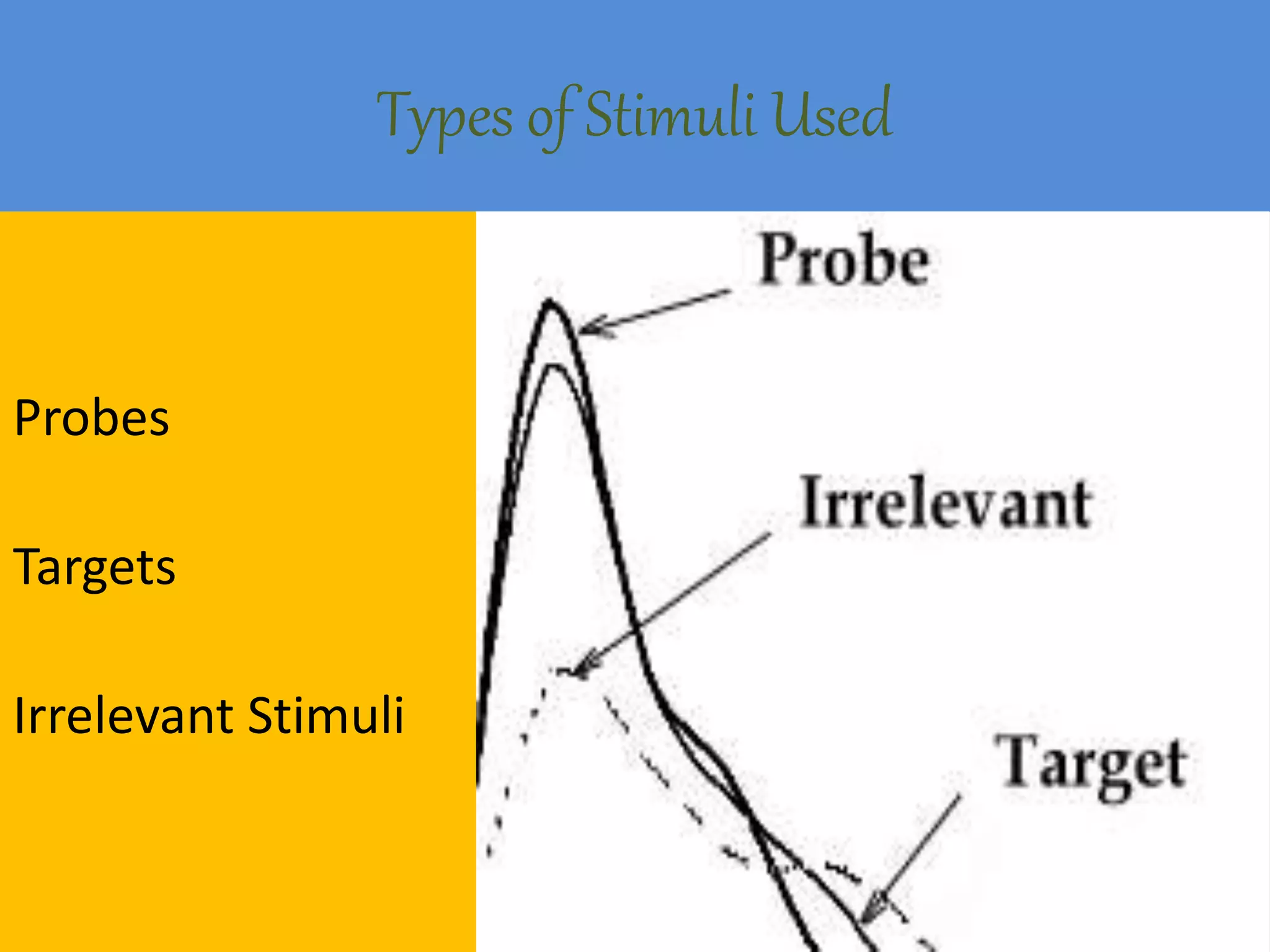 Types of Stimuli Used
Probes
Targets
Irrelevant Stimuli
 