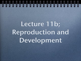 Lecture 11b;
Reproduction and
  Development
 