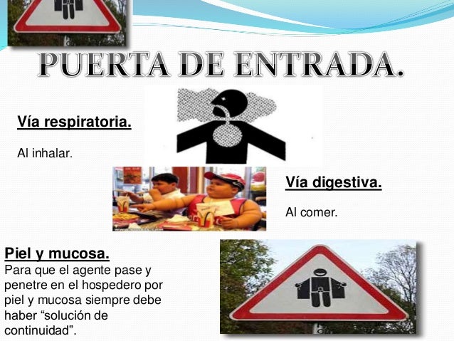 11 cadena epidemiologia