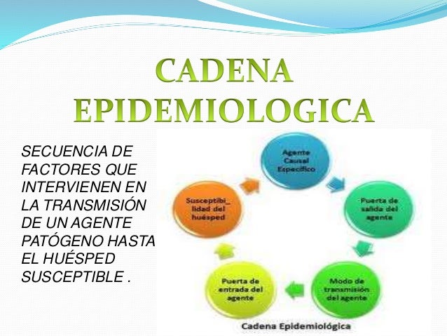 cadena epidemiologica gastroenteritis 11 cadena epidemiologia cadena epidemiologica gastroenteritis 11 cadena epidemiologia