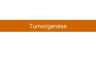 Tumorigenèse 