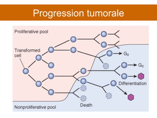 Progression tumorale 