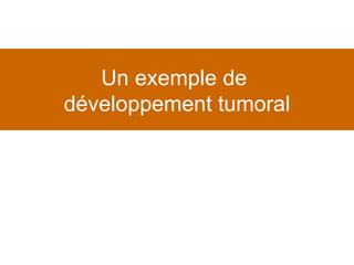 Un exemple de  développement tumoral 