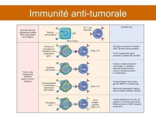 Immunité anti-tumorale 