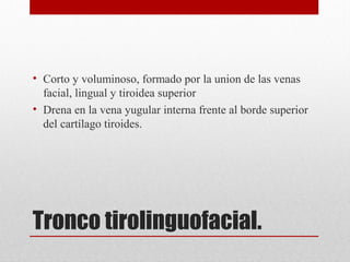 Tronco tirolinguofacial.
• Corto y voluminoso, formado por la union de las venas
facial, lingual y tiroidea superior
• Drena en la vena yugular interna frente al borde superior
del cartílago tiroides.
 