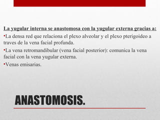 ANASTOMOSIS.
La yugular interna se anastomosa con la yugular externa gracias a:
•La densa red que relaciona el plexo alveolar y el plexo pterigoideo a
traves de la vena facial profunda.
•La vena retromandibular (vena facial posterior): comunica la vena
facial con la vena yugular externa.
•Venas emisarias.
 