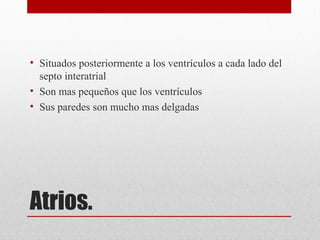 Atrios.
• Situados posteriormente a los ventrículos a cada lado del
septo interatrial
• Son mas pequeños que los ventrículos
• Sus paredes son mucho mas delgadas
 