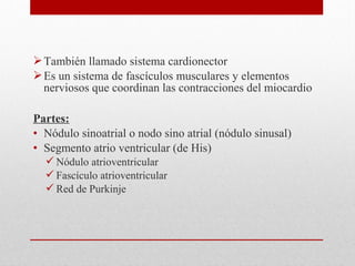 También llamado sistema cardionector
Es un sistema de fascículos musculares y elementos
nerviosos que coordinan las contracciones del miocardio
Partes:
• Nódulo sinoatrial o nodo sino atrial (nódulo sinusal)
• Segmento atrio ventricular (de His)
Nódulo atrioventricular
Fascículo atrioventricular
Red de Purkinje
 