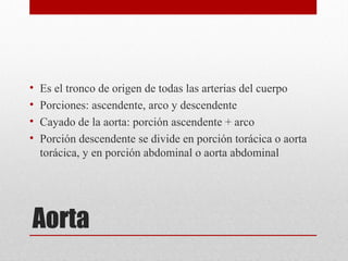 Aorta
• Es el tronco de origen de todas las arterias del cuerpo
• Porciones: ascendente, arco y descendente
• Cayado de la aorta: porción ascendente + arco
• Porción descendente se divide en porción torácica o aorta
torácica, y en porción abdominal o aorta abdominal
 