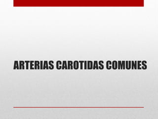 ARTERIAS CAROTIDAS COMUNES
 