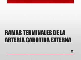 RAMAS TERMINALES DE LA
ARTERIA CAROTIDA EXTERNA
82
 