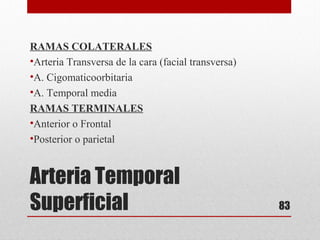 Arteria Temporal
Superficial
RAMAS COLATERALES
•Arteria Transversa de la cara (facial transversa)
•A. Cigomaticoorbitaria
•A. Temporal media
RAMAS TERMINALES
•Anterior o Frontal
•Posterior o parietal
83
 