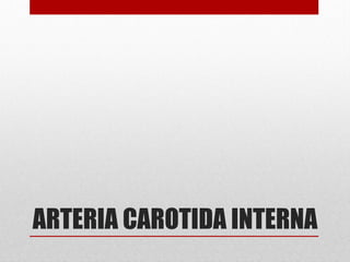 ARTERIA CAROTIDA INTERNA
 
