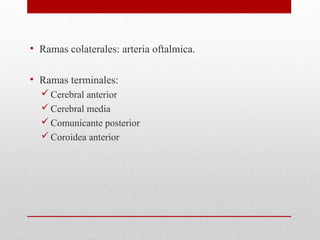 • Ramas colaterales: arteria oftalmica.
• Ramas terminales:
Cerebral anterior
Cerebral media
Comunicante posterior
Coroidea anterior
 