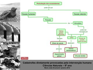 Perturbação dos ecossistemas

                          pode ser por



Causas humanas                                                        Causas naturais


                           Poluição

                                                           da         Atmosfera



                                                                              pode ser
                                              Vários                        causada por
                                               gases
                                             poluentes
                                                                CFC         Dióxido de
                                             formam
                                                                               enxofre
                                                                           óxido de azoto
                                      Efeito de estufa     destroem


                                           provoca           Ozono
                                                         estratosférico

                                         Aquecimento
                                            global                     Chuvas ácidas



Catástrofes diretamente provocadas pela intervenção humana
                  Ciências Naturais – 8º ano
                          Maria João Drumond / janeiro 2012
 