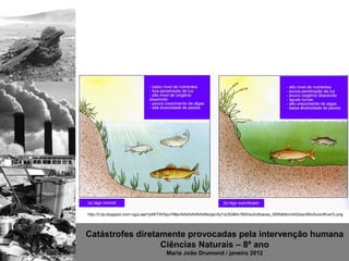 http://3.bp.blogspot.com/-cguLaad1p48/T9V0puYMjsI/AAAAAAAAABs/panXyYzcXQM/s1600/eutrofizacao_000fx6domrk02wyiv80u5vcsvtfruw7y.png




Catástrofes diretamente provocadas pela intervenção humana
                  Ciências Naturais – 8º ano
                                       Maria João Drumond / janeiro 2012
 