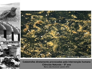 Lagoa das Furnas – Miguel Jardim


Catástrofes diretamente provocadas pela intervenção humana
                  Ciências Naturais – 8º ano
                  Maria João Drumond / janeiro 2012
 