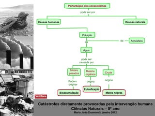 Perturbação dos ecossistemas

                                  pode ser por


Causas humanas                                                      Causas naturais




                                    Poluição

                                                               da       Atmosfera
                                      da


                                     Água


                                    pode ser
                                  causada por


                        Metais        Matéria
                       pesados                      Crude
                                      orgânica

                       Podem                        origina
                                       origina
                       originar
                                     Eutrofização
                 Bioacumulação                      Marés negras



Catástrofes diretamente provocadas pela intervenção humana
                  Ciências Naturais – 8º ano
                           Maria João Drumond / janeiro 2012
 