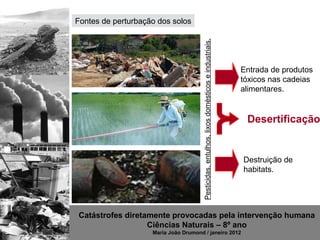 Fontes de perturbação dos solos




                                      Pesticidas, entulhos, lixos domésticos e industriais.
                                                                                              Entrada de produtos
                                                                                              tóxicos nas cadeias
                                                                                              alimentares.


                                                                                               Desertificação


                                                                                              Destruição de
                                                                                              habitats.




Catástrofes diretamente provocadas pela intervenção humana
                  Ciências Naturais – 8º ano
                    Maria João Drumond / janeiro 2012
 