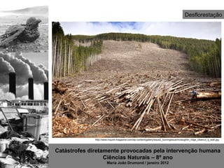 Desflorestação




              http://www.inquire-magazine.com/wp-content/gallery/issue2_burningissue/mclaughlin_ridge_clearcut_tj_watt.jpg



Catástrofes diretamente provocadas pela intervenção humana
                  Ciências Naturais – 8º ano
                        Maria João Drumond / janeiro 2012
 
