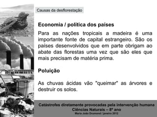 Causas da desflorestação


Economia / política dos países
Para as nações tropicais a madeira é uma
importante fonte de capital estrangeiro. São os
países desenvolvidos que em parte obrigam ao
abate das florestas uma vez que são eles que
mais precisam de matéria prima.

Poluição

As chuvas ácidas vão "queimar" as árvores e
destruir os solos.

Catástrofes diretamente provocadas pela intervenção humana
                  Ciências Naturais – 8º ano
                    Maria João Drumond / janeiro 2012
 