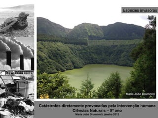 Espécies invasoras




                                                       Maria João Drumond


Catástrofes diretamente provocadas pela intervenção humana
                  Ciências Naturais – 8º ano
                  Maria João Drumond / janeiro 2012
 