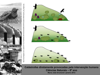 http://2.bp.blogspot.com/_Pg4laVHT1Eo/TNwMS55-sBI/AAAAAAAAABk/cfUPkniCadA/s1600/impacto_de_pragas.png




                                                                                                        Catástrofes diretamente provocadas pela intervenção humana
                                                                                                                          Ciências Naturais – 8º ano
                                                                                                                          Maria João Drumond / janeiro 2012
 