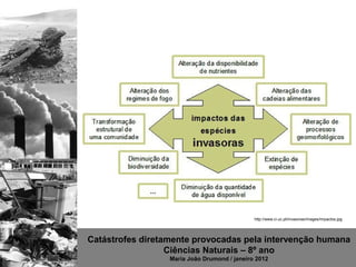 http://www.ci.uc.pt/invasoras/images/impactos.jpg




Catástrofes diretamente provocadas pela intervenção humana
                  Ciências Naturais – 8º ano
                  Maria João Drumond / janeiro 2012
 