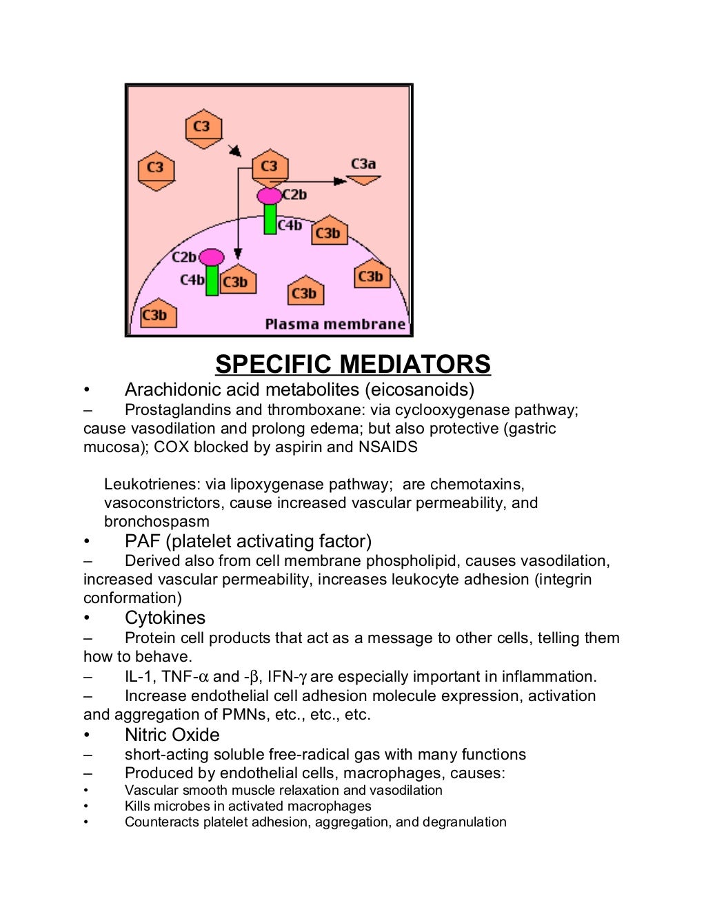 11 cellular & vascular events in acute inflammation
