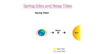 Tide Names 11 Chap 14 Type of Tides .pptx
