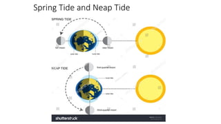 Tide Names 11 Chap 14 Type of Tides .pptx