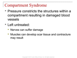 11 [chapter 11 the muscular system] | PPT