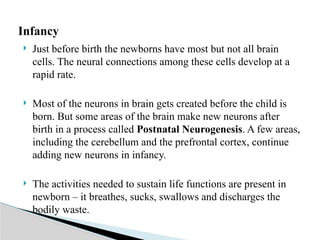  Just before birth the newborns have most but not all brain
cells. The neural connections among these cells develop at a
rapid rate.
 Most of the neurons in brain gets created before the child is
born. But some areas of the brain make new neurons after
birth in a process called Postnatal Neurogenesis. A few areas,
including the cerebellum and the prefrontal cortex, continue
adding new neurons in infancy.
 The activities needed to sustain life functions are present in
newborn – it breathes, sucks, swallows and discharges the
bodily waste.
Infancy
 