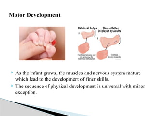  As the infant grows, the muscles and nervous system mature
which lead to the development of finer skills.
 The sequence of physical development is universal with minor
exception.
Motor Development
 