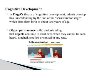  In Piaget's theory of cognitive development, infants develop
this understanding by the end of the "sensorimotor stage",
which lasts from birth to about two years of age.
 Object permanence is the understanding
that objects continue to exist even when they cannot be seen,
heard, touched, smelled or sensed in any way.
Cognitive Development
 