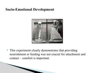  This experiment clearly demonstrates that providing
nourishment or feeding was not crucial for attachment and
contact – comfort is important.
Socio-Emotional Development
 