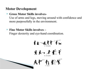  Gross Motor Skills involves-
Use of arms and legs, moving around with confidence and
more purposefully in the environment.
 Fine Motor Skills involves –
Finger dexterity and eye-hand coordination.
Motor Development
 