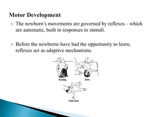  The newborn’s movements are governed by reflexes – which
are automatic, built in responses to stimuli.
 Before the newborns have had the opportunity to learn,
reflexes act as adaptive mechanisms.
 