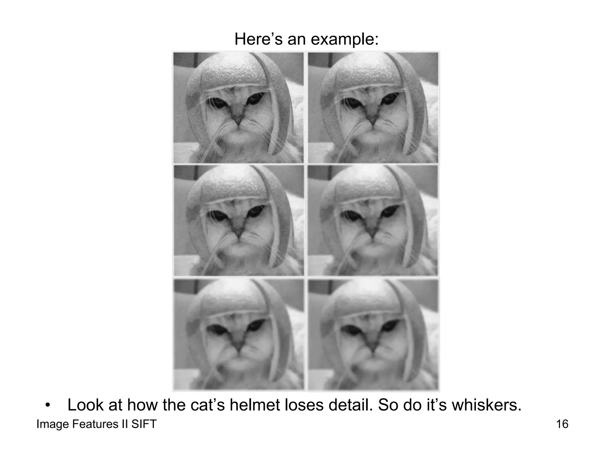 Here’s an example:
• Look at how the cat’s helmet loses detail. So do it’s whiskers.
16Image Features II SIFT
 