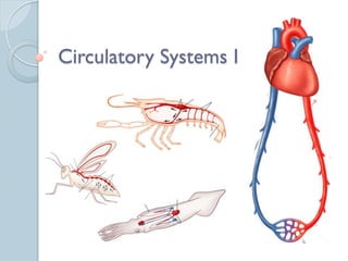 Circulatory Systems I
 