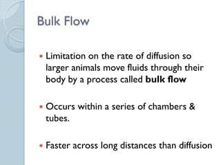 Bulk Flow Example 11 Circulatory Systems I PPT.pdf